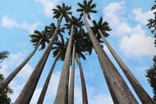 5463a0c1-e100-c155-cab9-454f23e4c5f6