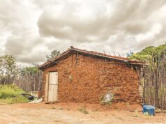 Ong Milagre Sertão lança campanha