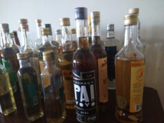Cachaças paraibanas se destacam na Expocachaça 2021