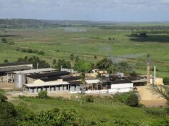 Conheça o Engenho São Paulo, PB