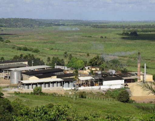 Conheça o Engenho São Paulo, PB