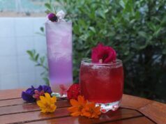 Começou o Festival das Flores, em Areia