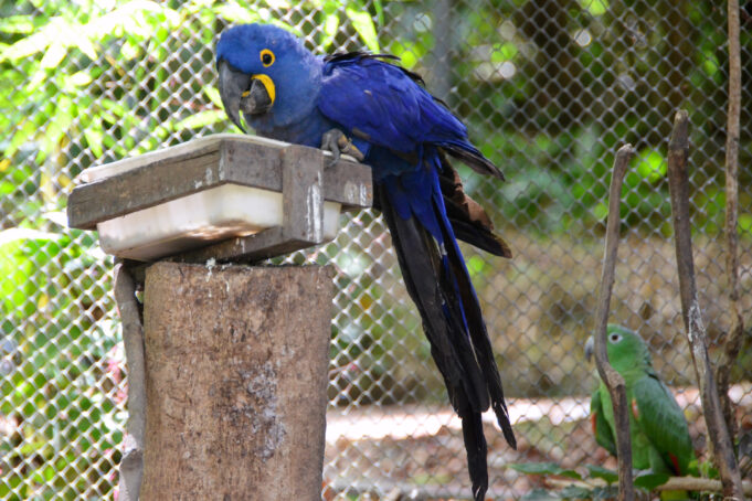 1ca1d09d-97f7-67fd-fc5f-68e2be88ec9c