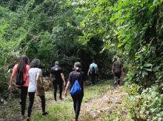 Venha caminhar no Parque Arruda Câmara