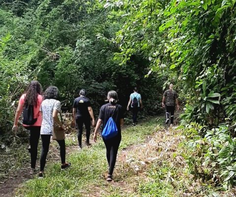 Venha caminhar no Parque Arruda Câmara