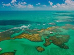 Paraíba participa da Feita WTM Latin America