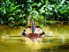 Representantes do Ministério do Turismo participam da Expo Turismo Paraíba