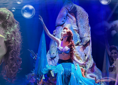 Tributo ao Abba e musical A Pequena Sereia, em JP