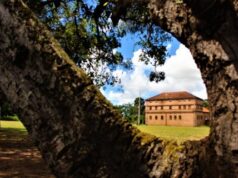 Festival da Cultura Indígena acontece neste sábado, 6, em Rio Tinto