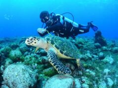 Continua disputa do governo federal para tomar Fernando de Noronha