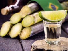 Brasil Cachaças será lançado dia 13, em João Pessoa