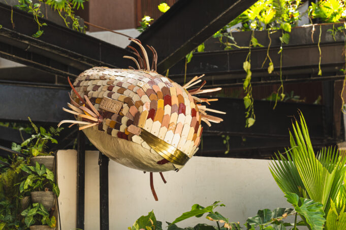 IMG-3845-BARA-060922