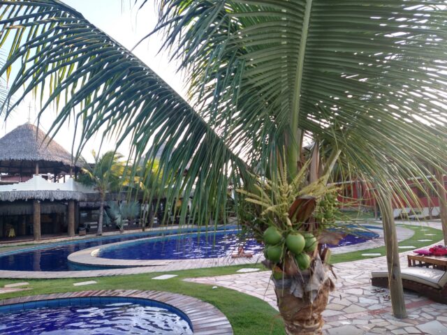 IMG_20220916_165009441_HDR