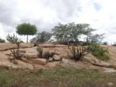 III Agropec acontece no Centro de Convenções de João Pessoa