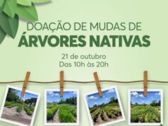Shopping Sebrae doa mudas de árvores