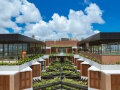 Tropicarnaval: BA’RA Hotel oferece programação com homenagens