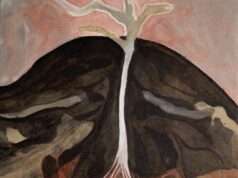 Exposição mostra a série Tauá, de Marlene Almeida