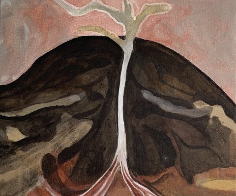 Exposição mostra a série Tauá, de Marlene Almeida