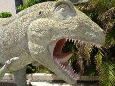 Vale dos Dinossauros é reaberto, em Sousa