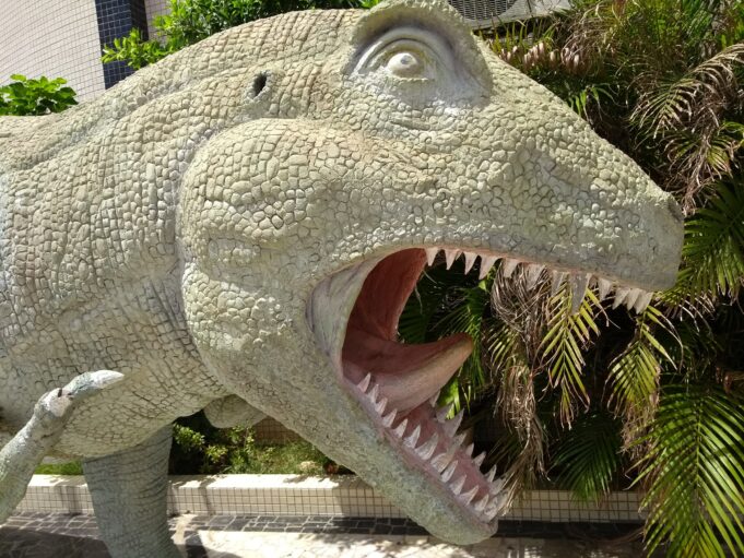 IMG_20180111_110100089