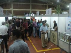 APCA anuncia a ll edição do Areia Mostra Cachaça