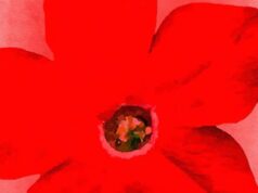 Daniel da Hora abre exposição nesta quinta, 27, no Espaço Arte Brasil