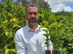 Produção de café é retomada em Areia