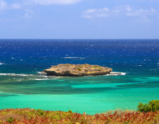 Brasil é melhor país para ecoturismo, segundo a Forbes