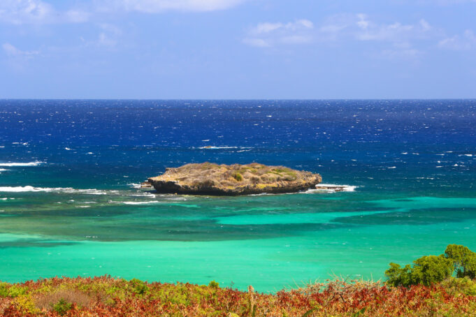 @ZeHenriqueMoura#ZeMaria_4345