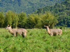 Portobello Resort e Safári recebe alunos de escolas municipais de Mangaratiba