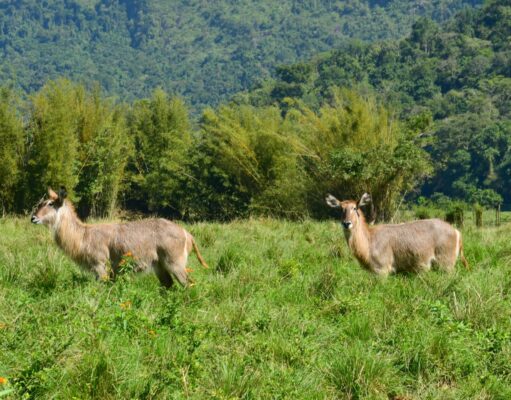 Portobello Resort e Safári recebe alunos de escolas municipais de Mangaratiba
