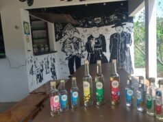 Boa do Brejo: um caso de sucesso da cachaça da Paraíba