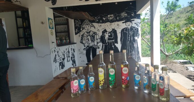 IMG_20231028_122815887_HDR~2