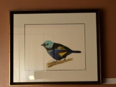 Exposição de Pedro Callado, no Espaço Arte Brasil