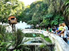 Parque Zoobotânico da Bica é uma opção para as férias
