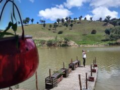 Engenho Triunfo nega utilização de agrotóxicos nos drones