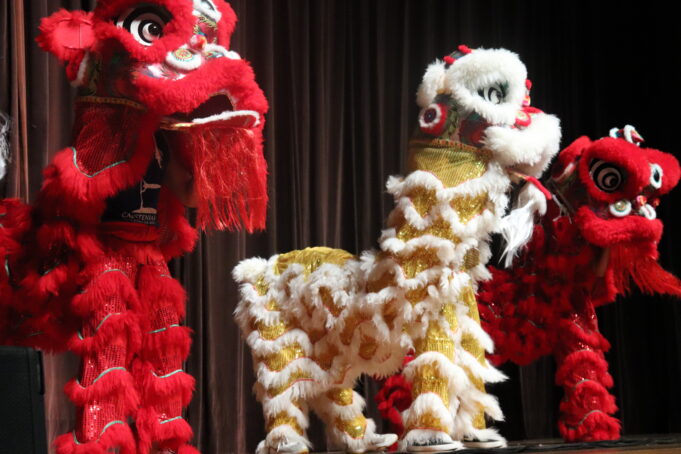 elidianeleesIMG_2451