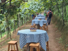 Café da manhã num parreiral: é a Rota Gastronômica do Vale do Paraíba
