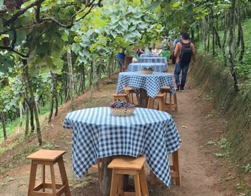 Café da manhã num parreiral: é a Rota Gastronômica do Vale do Paraíba