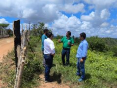 UFPB identifica potencial em Dona Inês para cafeicultura