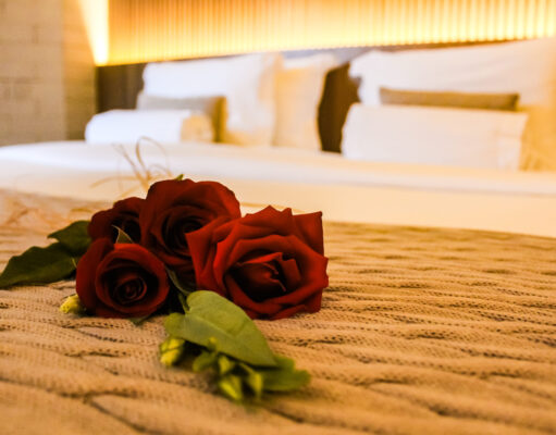 Notícias de Turismo, Negócios e Produtos