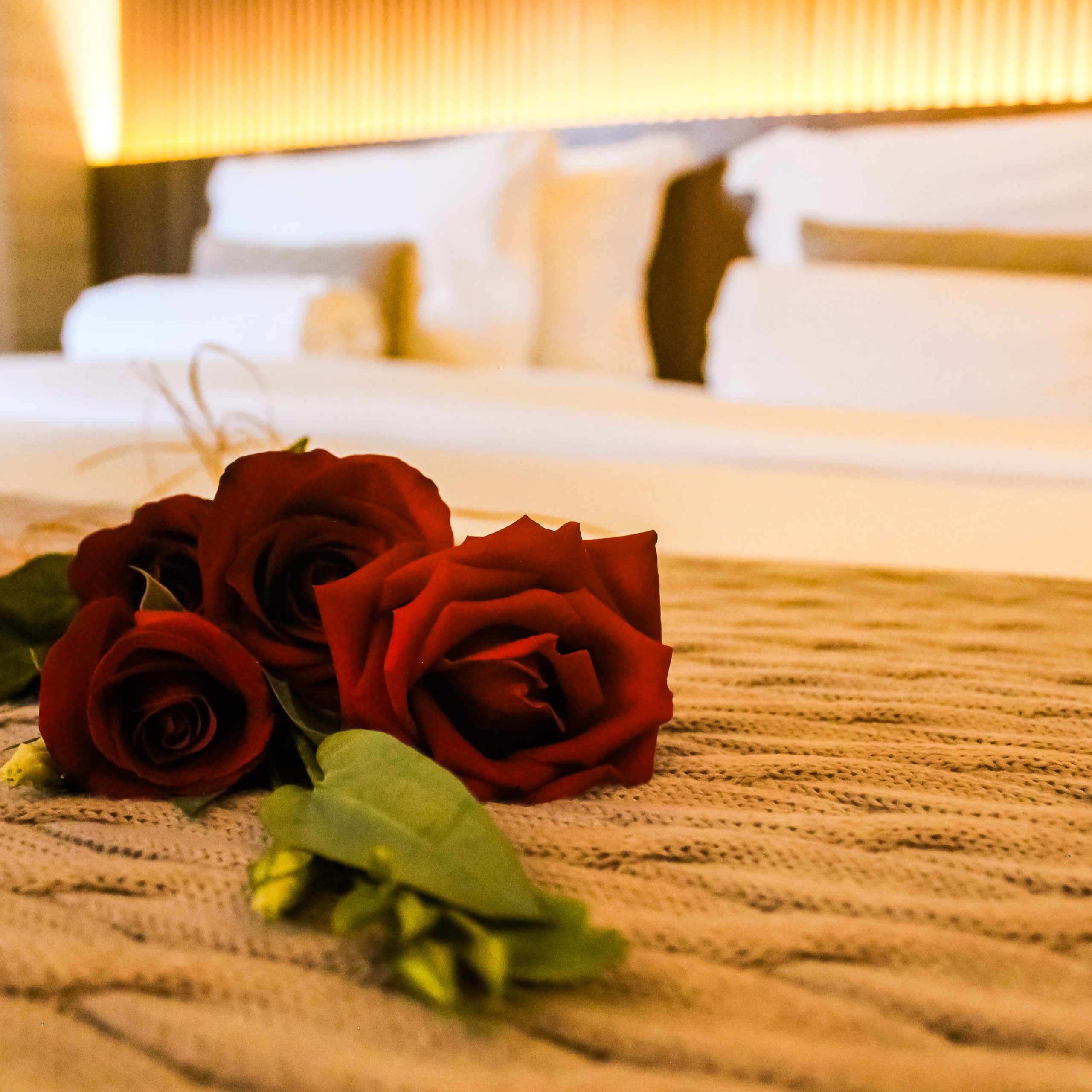 Notícias de Turismo, Negócios e Produtos