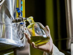 Orfeu Azeites Especiais lança Blend da Safra 2024