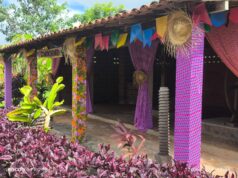 São João: Dona Inês aposta na tradição dos sítios