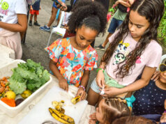 Confira a programação de férias da Bica