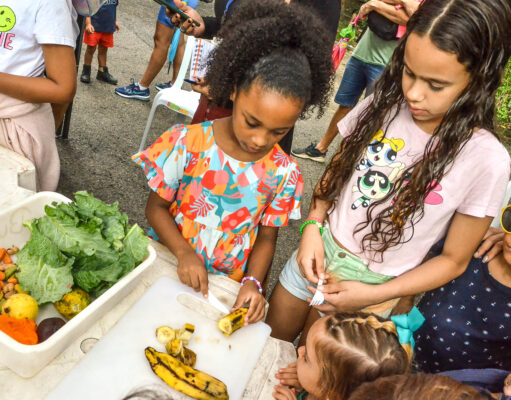 Confira a programação de férias da Bica