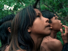 Confira a programação de julho do Cine Bangüê