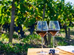 Dia Internacional da Cabernet Sauvignon