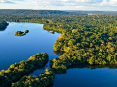 Embratur lança campanha para promover o turismo imersivo e sustentável na Amazônia