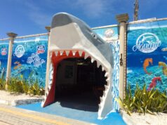 Outubro: Aquário PB é opção de qualidade para as crianças